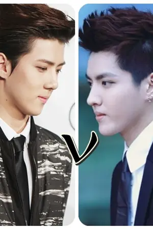 ปกนิยาย This love must choose รักนี้ต้องเลือก [fic exo x you]60%