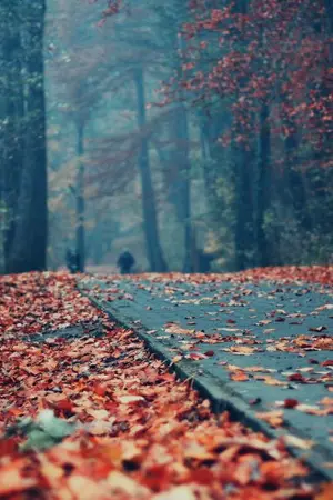 ปกนิยาย os/sf Produce101 ss2