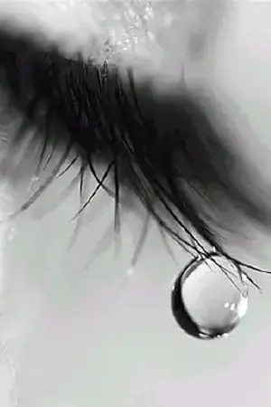 ปกนิยาย Something changed [Short Fic]