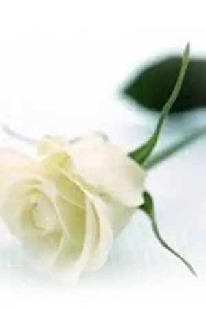 ปกนิยาย "CATCH" KAIHUN (mpreg)