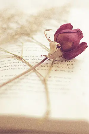 ปกนิยาย {SF Lulay}  Begin Again