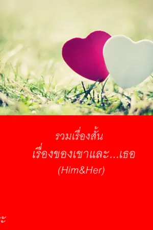 ปกนิยาย เรื่องของเขา...และเธอ