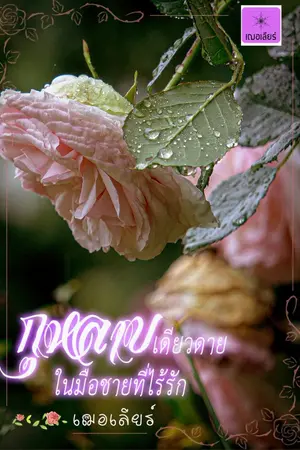 ปกนิยาย กุหลาบเดียวดายในมือชายที่ไร้รัก