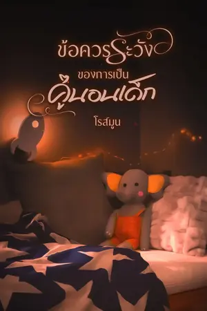 ปกนิยาย ข้อควรระวังของการเป็นคู่นอนเด็ก