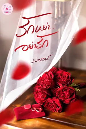 ปกนิยาย รักหย่า อย่ารัก