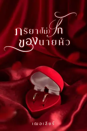 ปกนิยาย