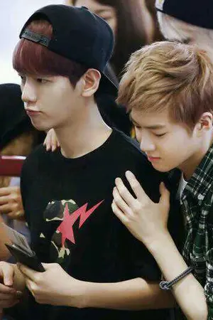 ปกนิยาย แค่ของเลียนแบบ