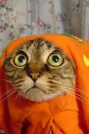 ปกนิยาย Run&Escape หนีตายเกมนรก