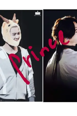 ปกนิยาย เจ้าชาย 100% winner (namsong )