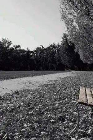 ปกนิยาย CURE เยียวยา KRISHAN