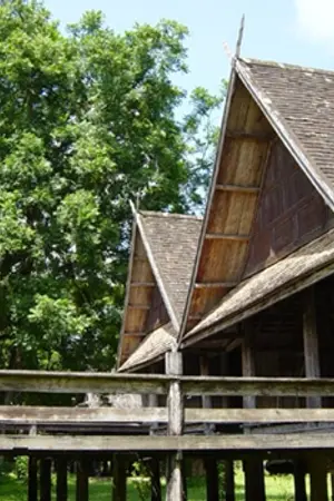 ปกนิยาย เรือนนาง