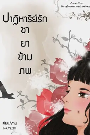 ปกนิยาย ปาฏิหาริย์รัก ชายาข้ามภพ (จบแล้ว)