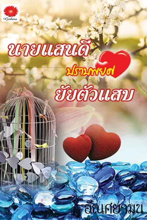 ปกนิยาย