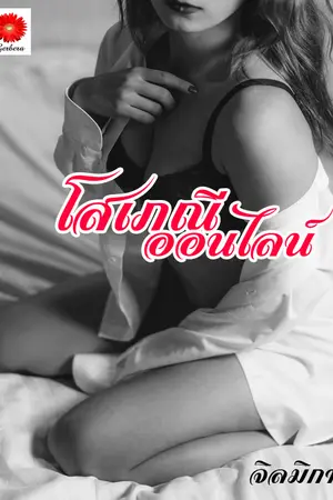 ปกนิยาย โสเภณีออนไลน์
