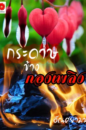 ปกนิยาย