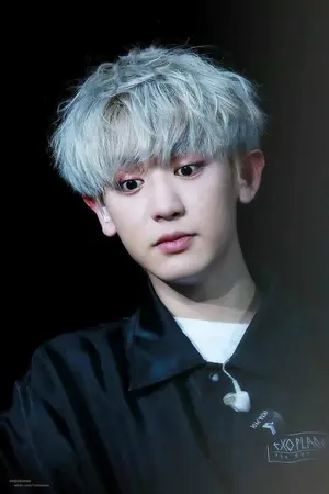ปกนิยาย Park Chanyeol & Lily MayMac just begin