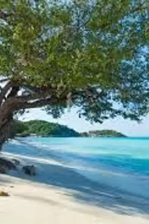 ปกนิยาย Hot ดีไซน์ ออกแบบรักให้ตรงใจ