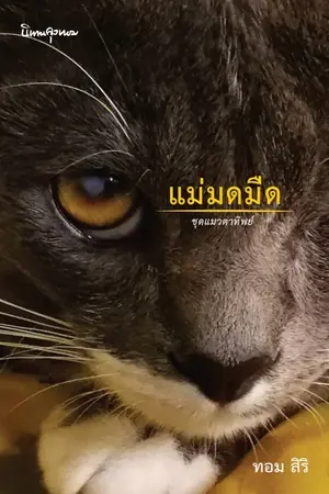 ปกนิยาย