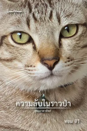 ปกนิยาย