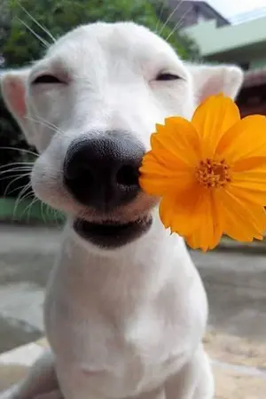 ปกนิยาย จิตวิทยาการเดาใจคนและการรู้จักมองคน