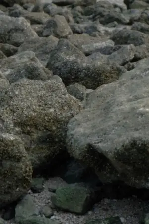 ปกนิยาย Trying to Live a Normal Life ขอใช้ชีวิตสักครั้ง