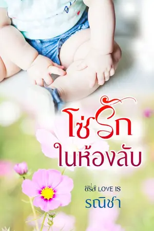 ปกนิยาย