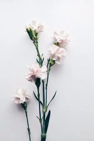 ปกนิยาย °○ Always be yours ○° { Jundong ♧} iKON