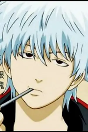 ปกนิยาย Gintama [All x Gin]