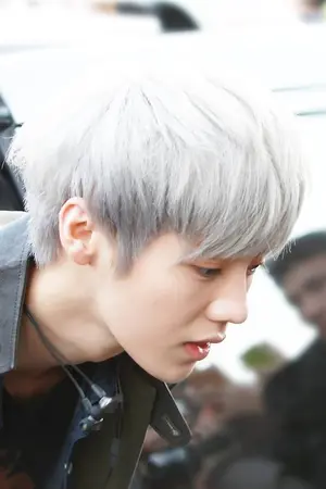 ปกนิยาย [Fic EXO]โปรดเถิดรัก (KaiLu ft. Sehun)