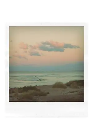 ปกนิยาย i wish you bluebirds