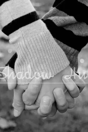 ปกนิยาย Shadow Hug อ้อมกอดตะวัน LuBeak + Exo  [Luhan x Baekhyun]