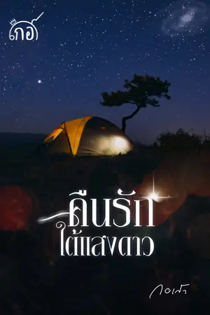 ปกนิยาย คืนรักใต้แสงดาว