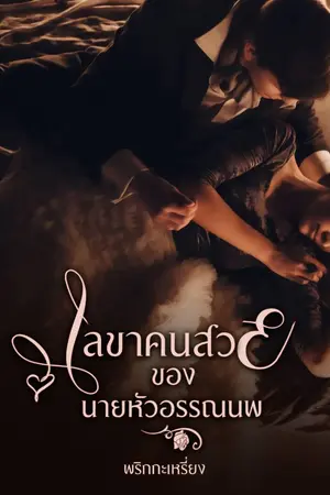 ปกนิยาย