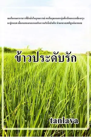 ปกนิยาย ข้าวประดับรัก