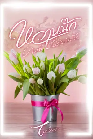 ปกนิยาย หวานนักคนที่ไม่คิดว่าจะรัก