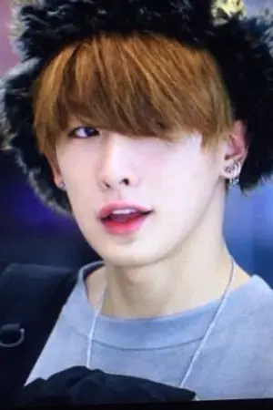 ปกนิยาย ( fic monsta-x) ▲ WON'S PARADISE ▼ hyungwonho ♡