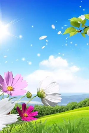 ปกนิยาย ความคิดคะนึงยามเช้า