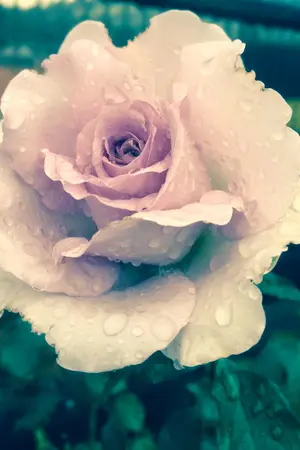 ปกนิยาย ลำนำกลอนรัก จากกัตติกา