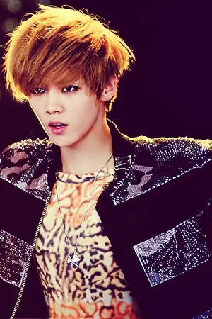 ปกนิยาย [Fic EXO]Who are you??(hunhan chanbaek kaido krislay Ft.exo)