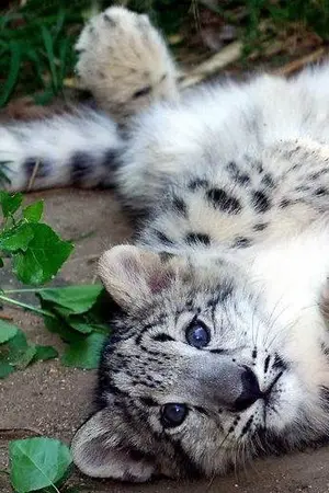 ปกนิยาย คุณพระเอก เลิกจับหางผมสักทีเถอะครับ