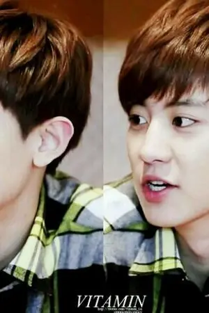 ปกนิยาย [Exo Krisyeol] Top Model