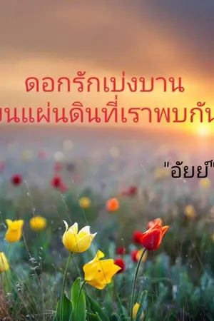 ปกนิยาย ชื่นรัก แผ่นดินดอกไม้