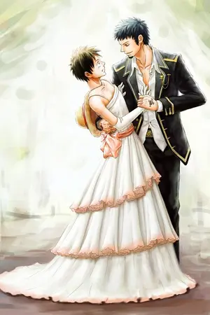 ปกนิยาย [One piece]Princess in fairy tale(all luffy)