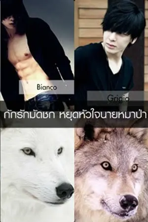 ปกนิยาย [Yaoi] Wolves Crafty เล่ห์รักร้าย นายหมาป่า