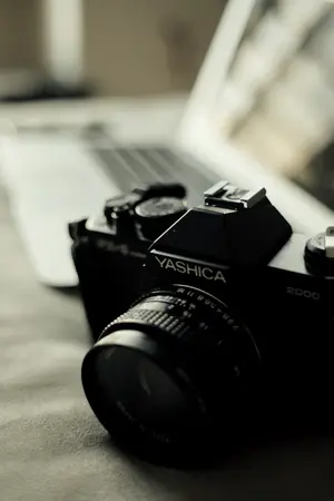 ปกนิยาย Photographers Bee : Beecris