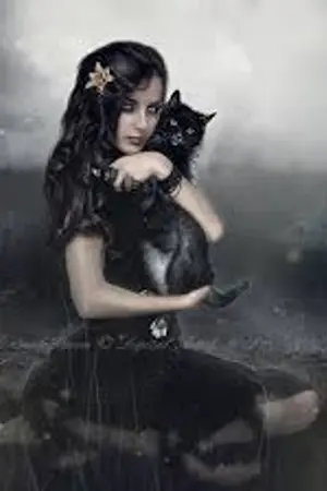 ปกนิยาย summoner online