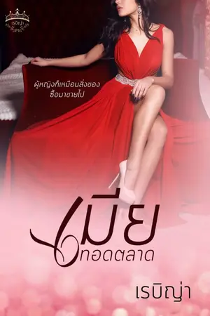 ปกนิยาย