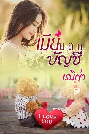 ปกนิยาย เมียนอกบัญชี