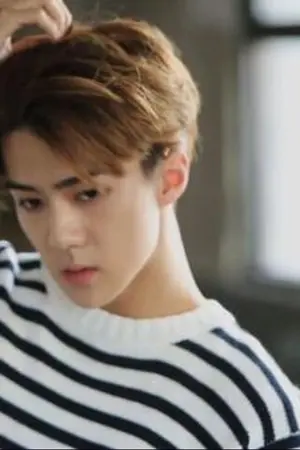 ปกนิยาย (fic exo)  ｡ f a o n - ♡ hunhan 