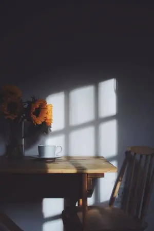 ปกนิยาย NP’ s Palette